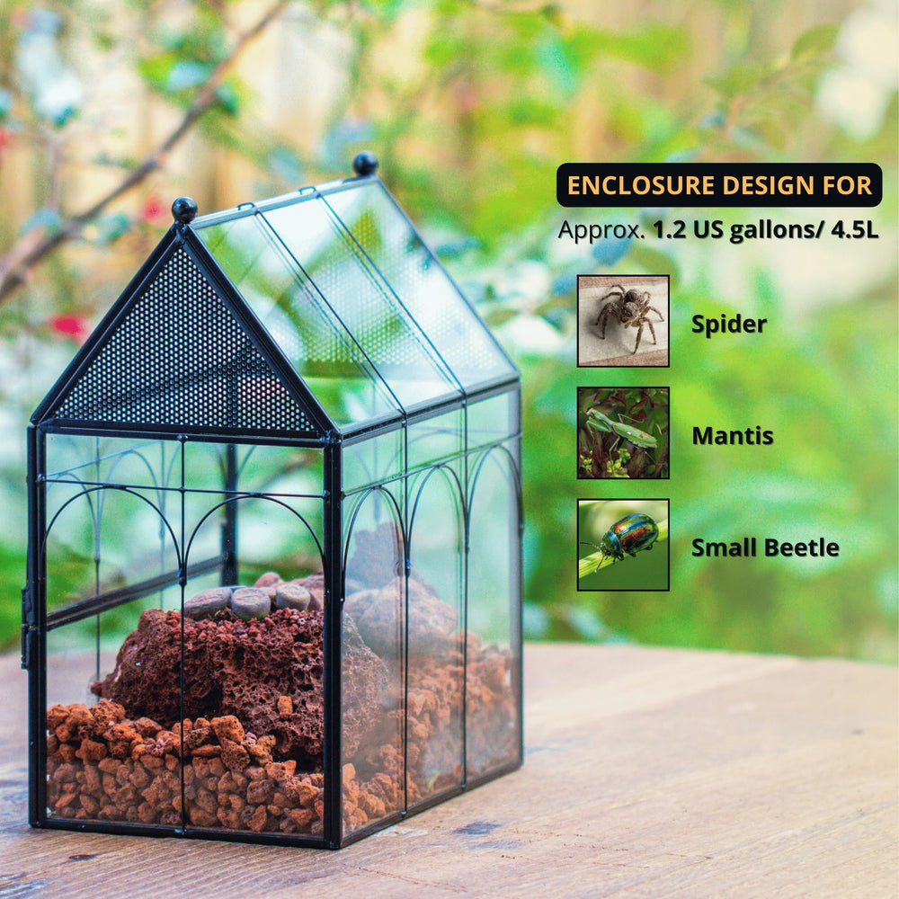 NCYP terrarium porte frontale ouverte pour un accès facile à l'entretien.