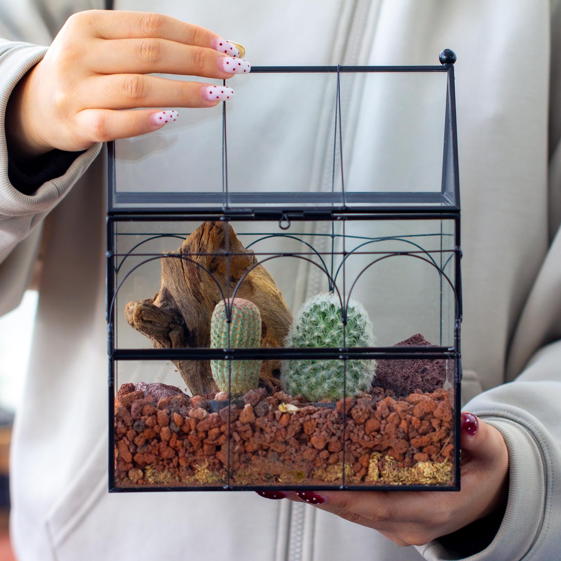 NCYP terrarium convient aux mousses et fougères grâce au support intérieur discret.