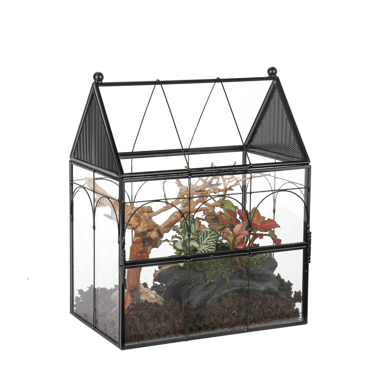 NCYP terrarium en verre avec ventilation avant favorisant une aération efficace.