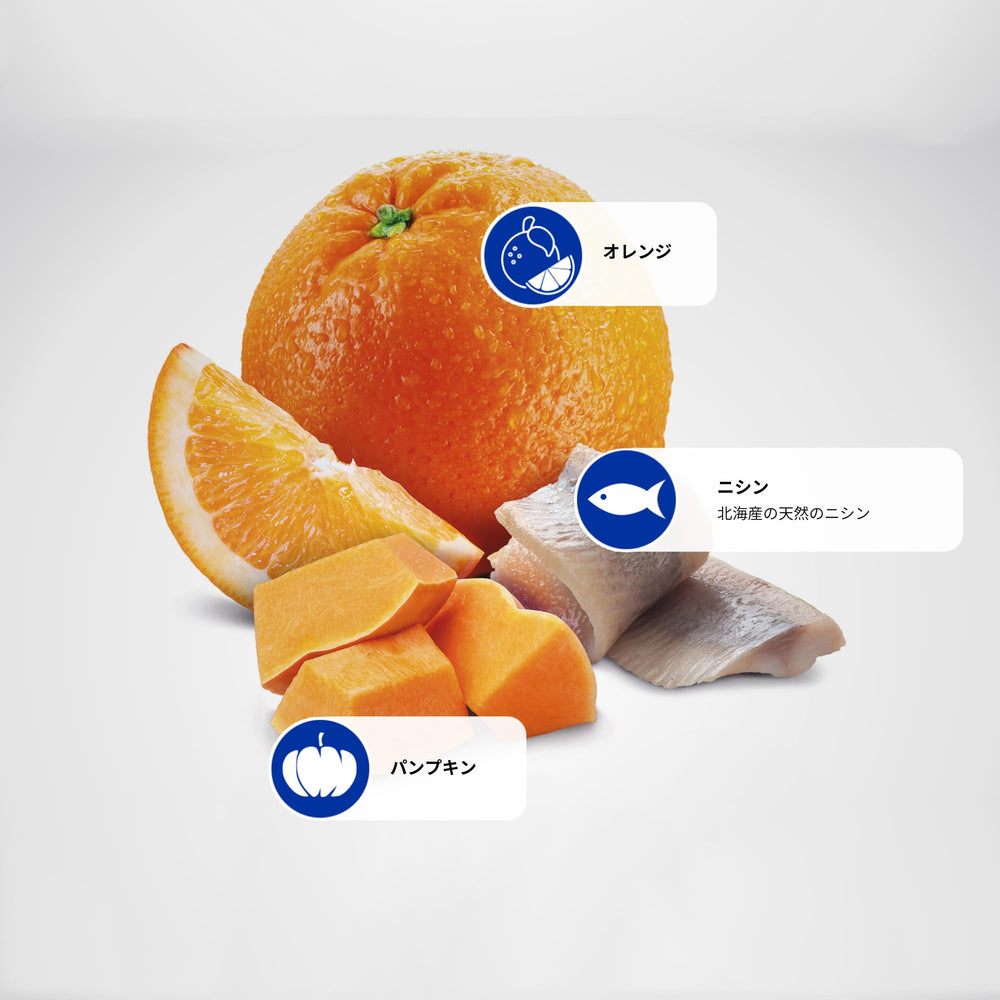Croquettes au hareng et orange, granulés pratiques pour le repas quotidien du chat.