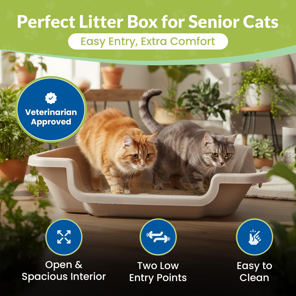 KittyGoHere 2.0, double entrées, mobilité améliorée pour les félins.