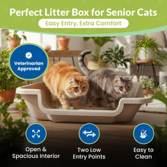 KittyGoHere 2.0, double entrées, mobilité améliorée pour les félins.