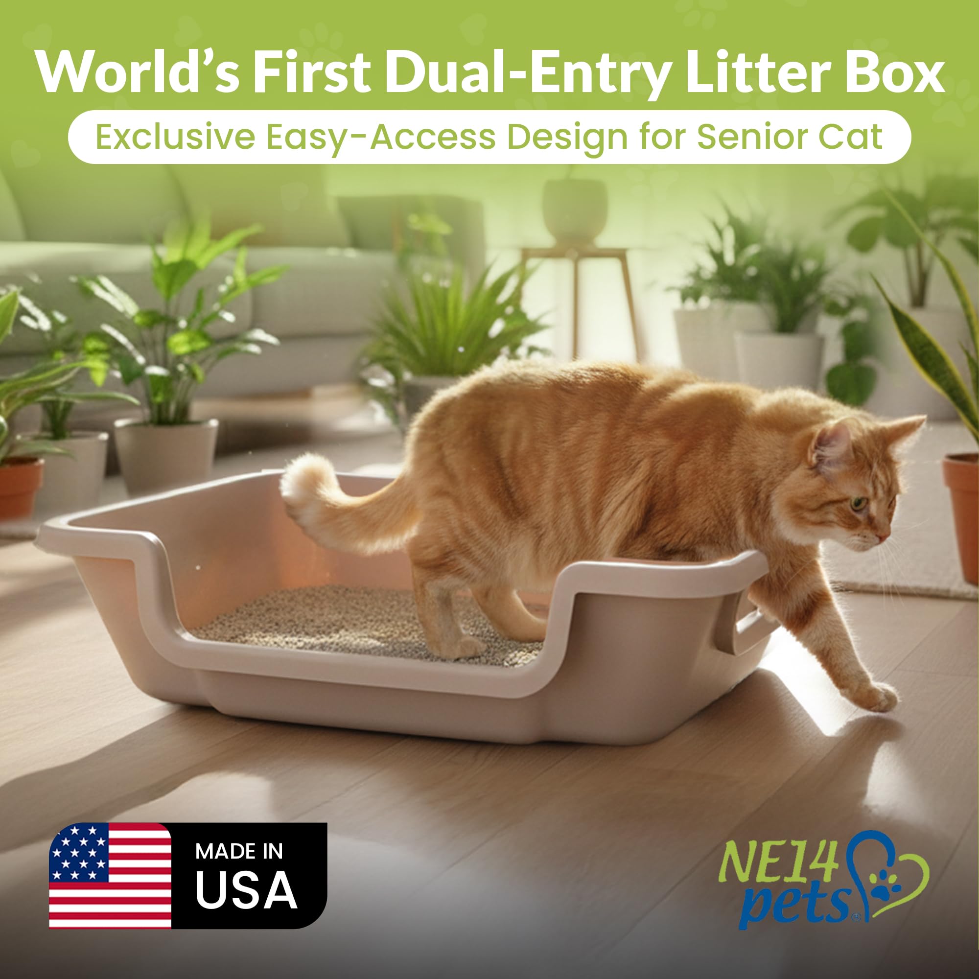 KittyGoHere 2.0, design recommandé pour chats âgés et mobilité réduite.