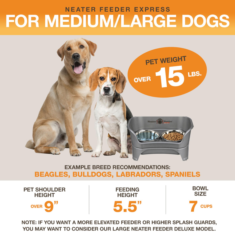 Neater Feeder Express – conçu pour chiens moyens et grands, station de repas pratique.