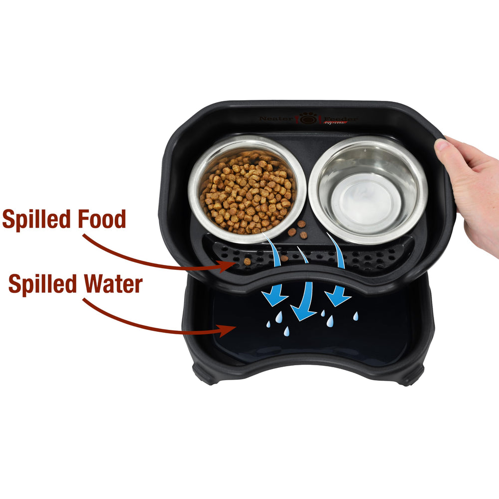 Neater Feeder Express: système anti-déversement gardant la zone de repas propre.