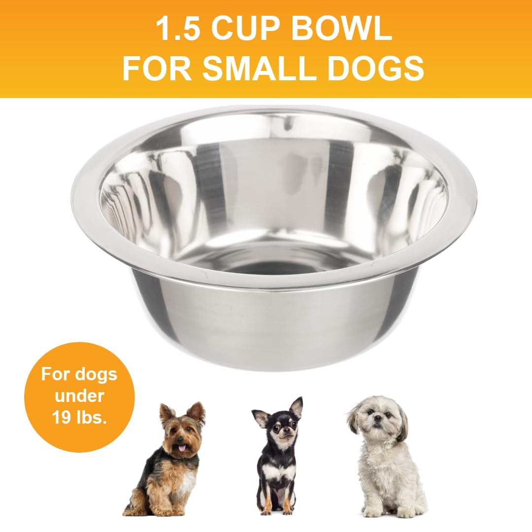 Bol en acier inoxydable Neater Pet, 12 oz, durable et hygiénique.