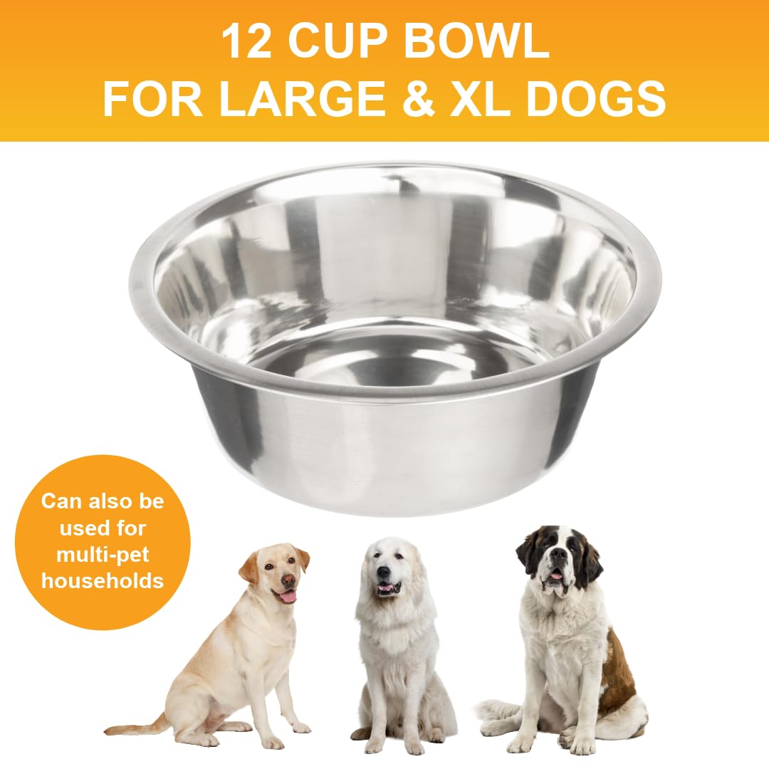 Bol Neater Pet inox robuste et anti-rouille pour chien de grande taille