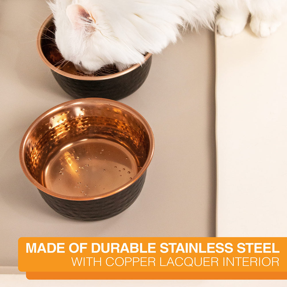Neater Pet Brands bol moyen 28 onces (3,5 tasses), pratique pour nourriture ou eau.