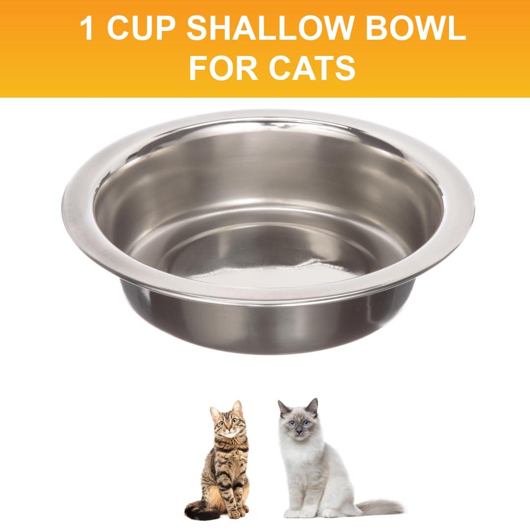 Bol de remplacement Neater Pet Brands compatible avec les systèmes d'alimentation Neater.
