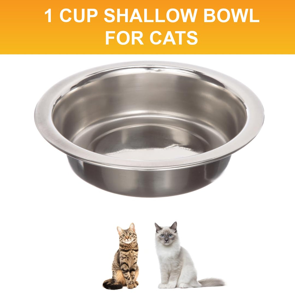 Bol de remplacement Neater Pet Brands compatible avec les systèmes d'alimentation Neater.