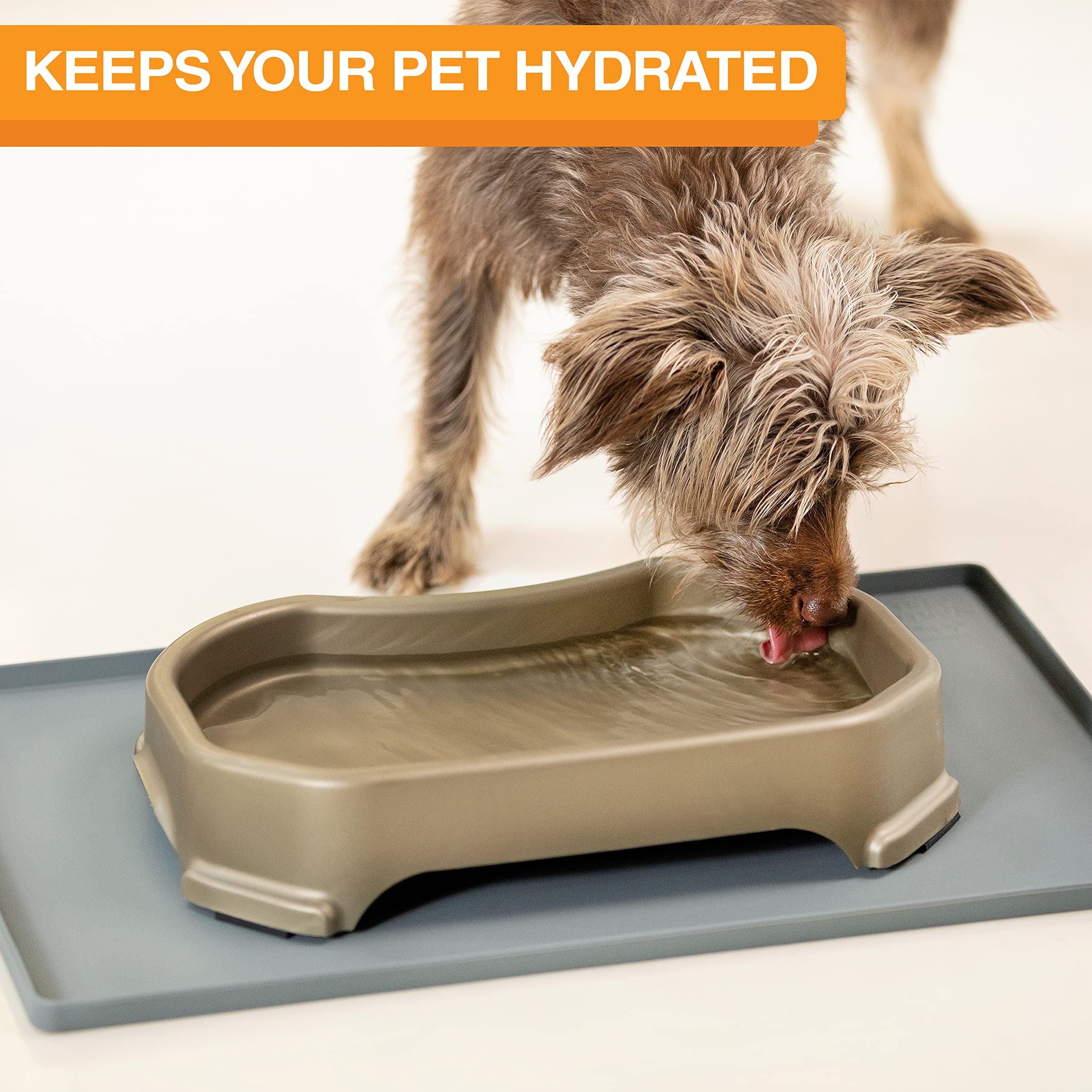 Bol d'eau anti-glisse Neater Pet Brands, base stable pour jeux.
