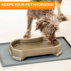 Bol d'eau anti-glisse Neater Pet Brands, base stable pour jeux.