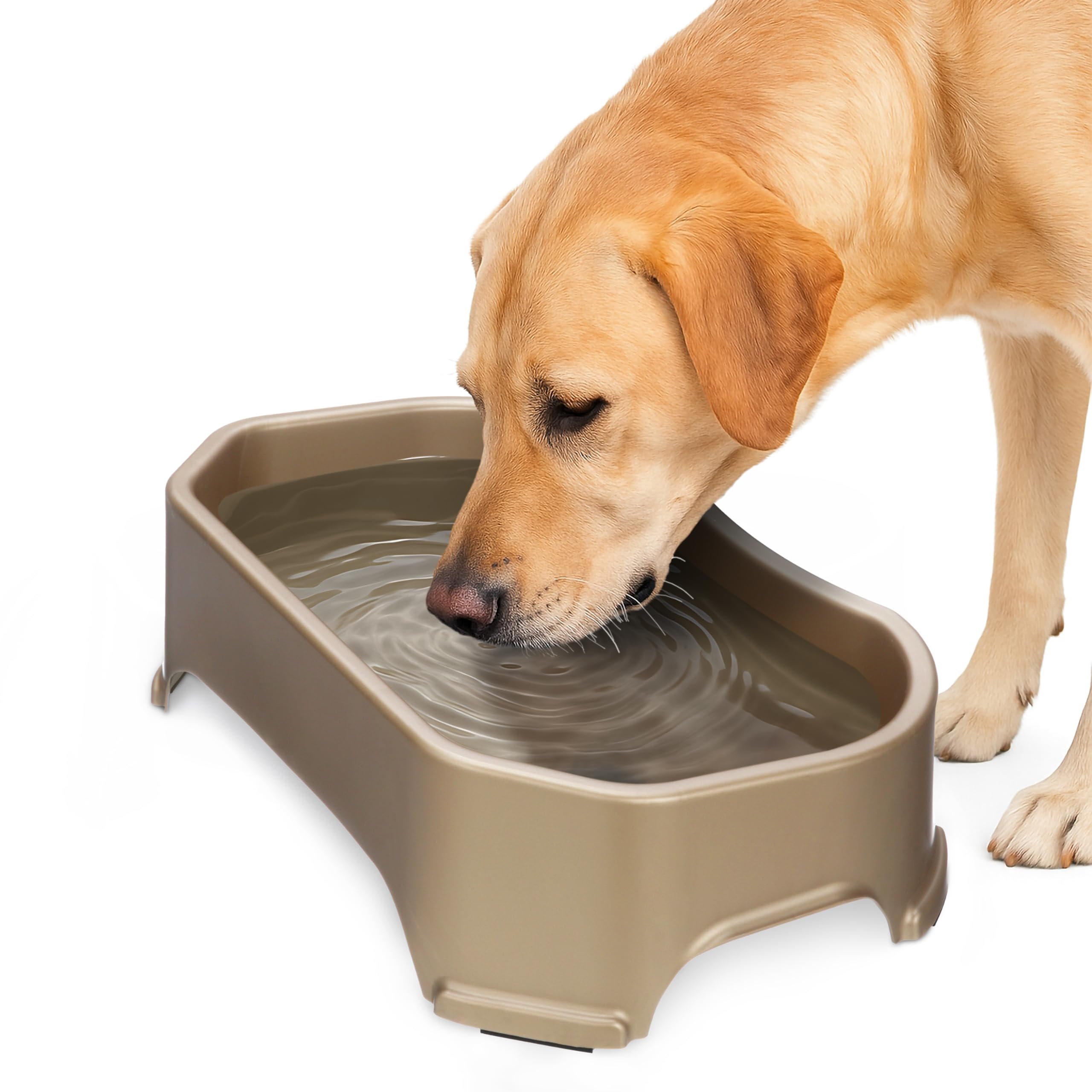 Neater Pet Brands bol eau chien exterieur capacite 1,25 gallon, idéal pour grands chiens.