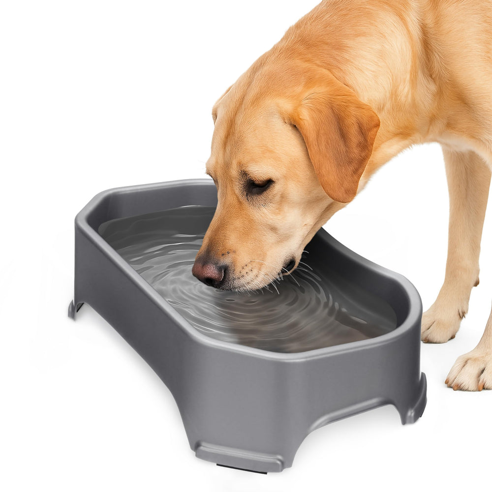 Neater Pet Brands bol d’eau extérieur pour chien, grand et stable.