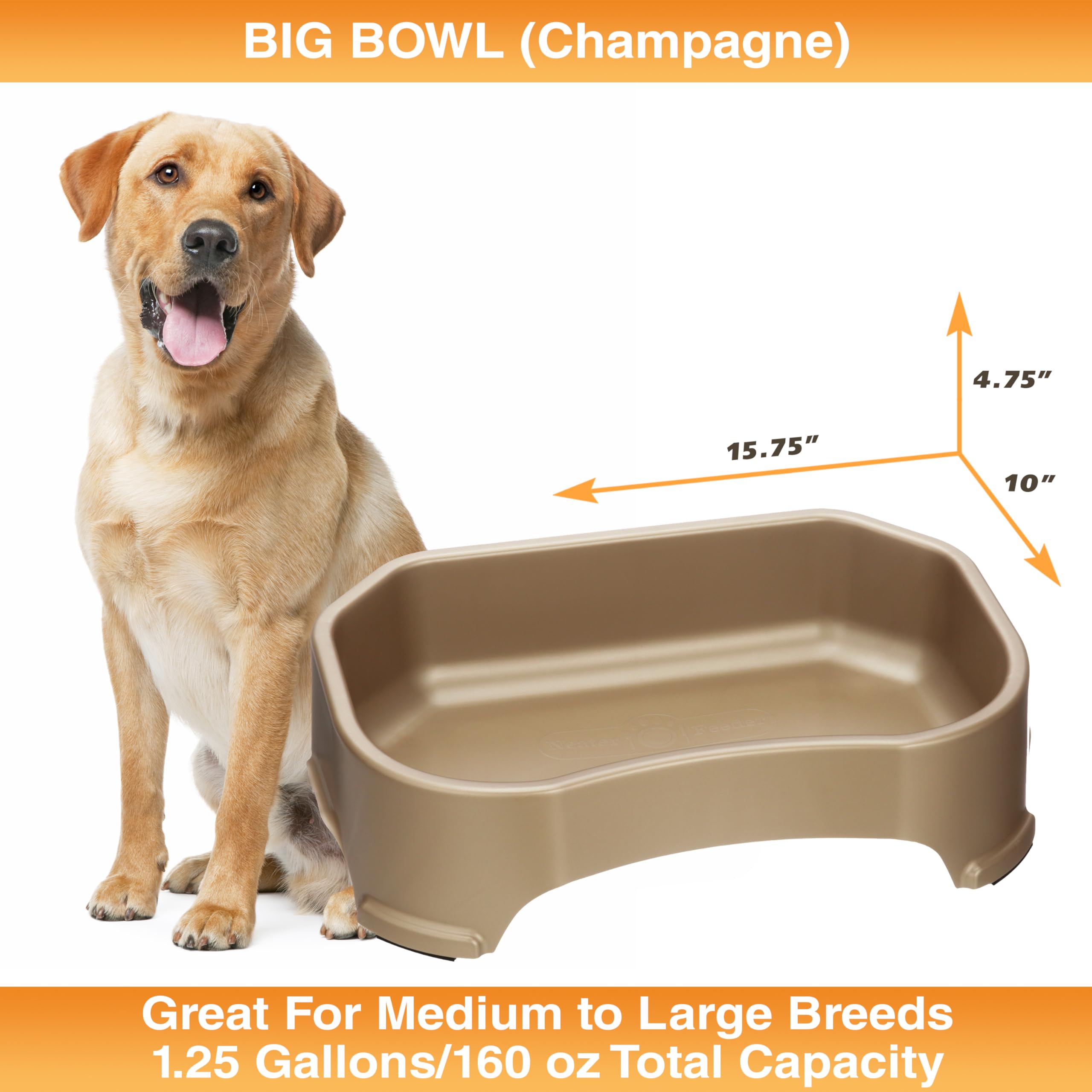 Neater Pet Brands bol eau chien lavable au lave-vaisselle, nettoyage rapide.