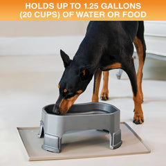 Bol Neater Pet Brands, capacité 1,25 galons, adapté aux grandes races.