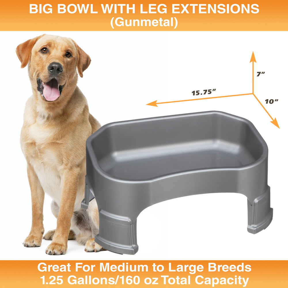 Bol fabriqué aux États‑Unis Neater Pet Brands, qualité et traçabilité.