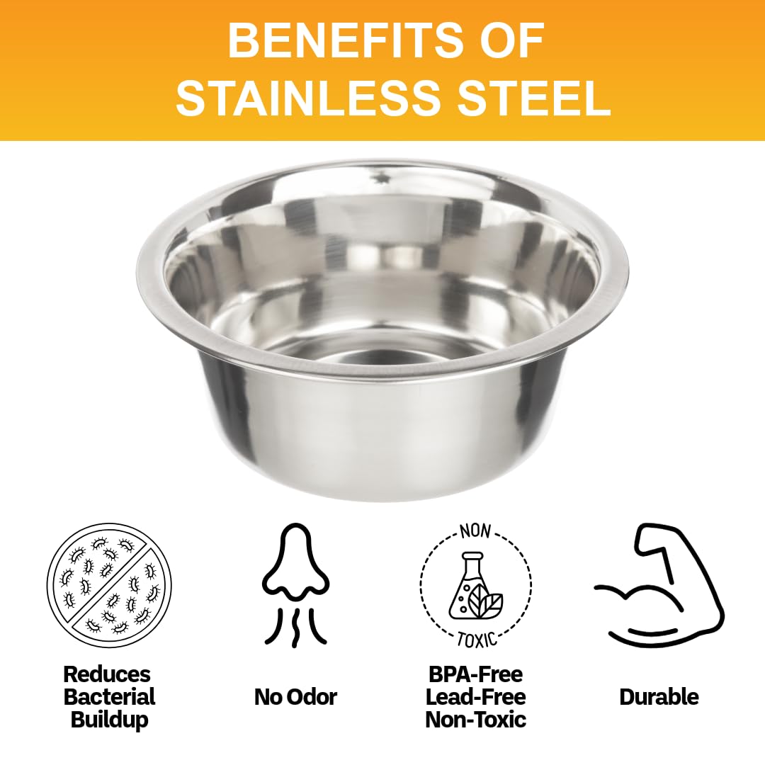 Bol polyvalent Neater Pet Brands pour eau ou nourriture, usage quotidien.