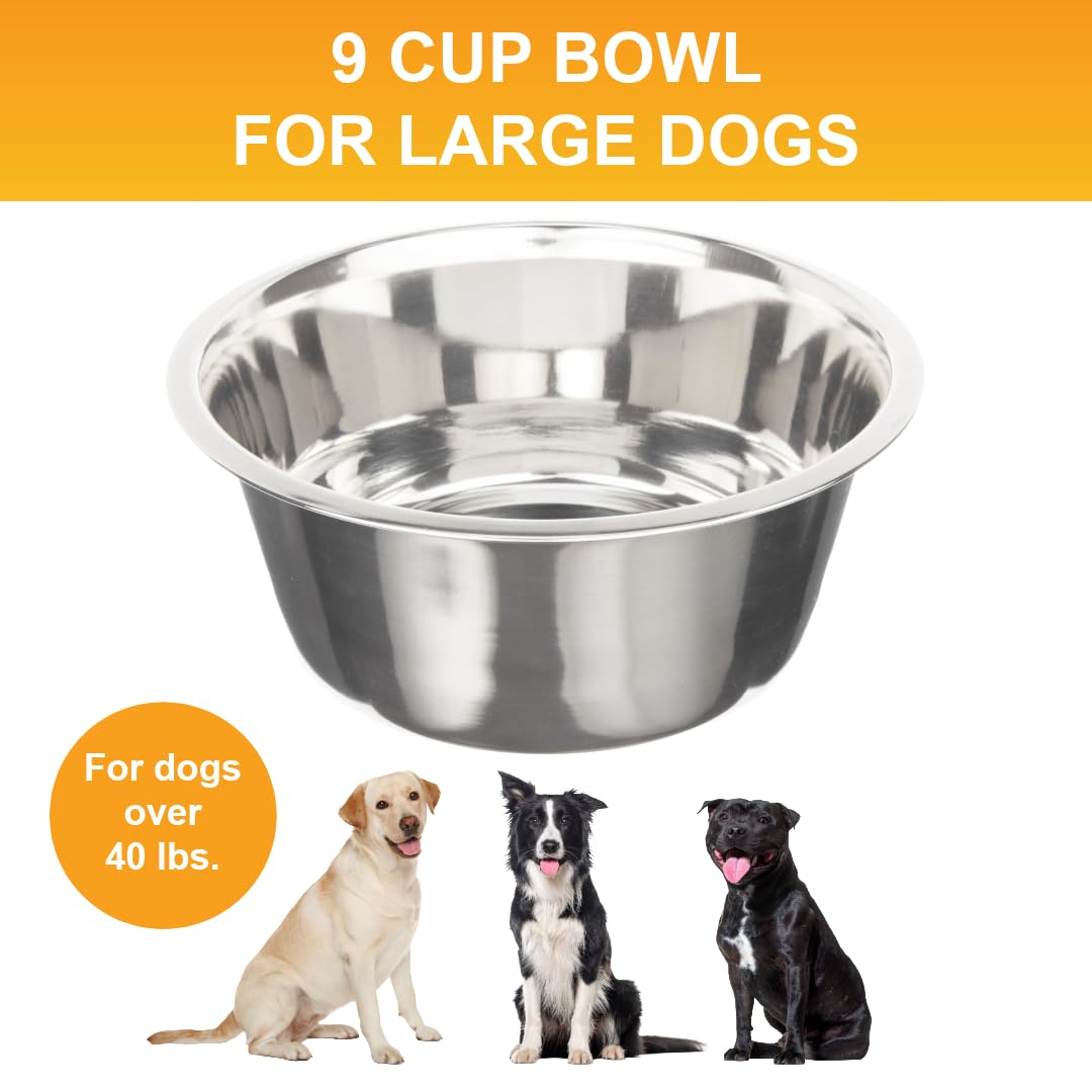 Bol de rechange deluxe large Neater Feeder, pratique pour remplacement fiable.