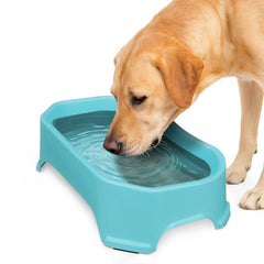 Neater Pet Brands bol extralarge extérieur, capacité 1,25 gal pour grands chiens.