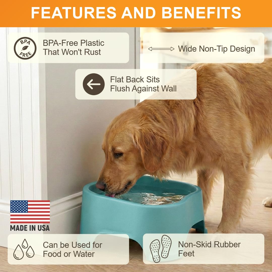 Nettoyage facile Neater Pet Brands, lavable au lave-vaisselle.