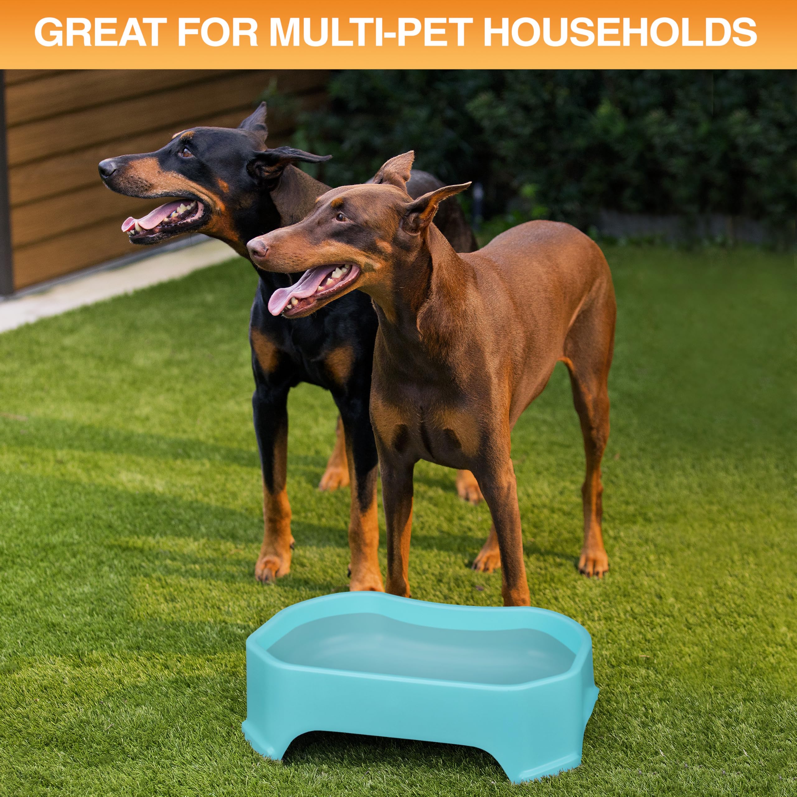 Matériau durable sans BPA Neater Pet Brands, résistant au soleil et aux intempéries.
