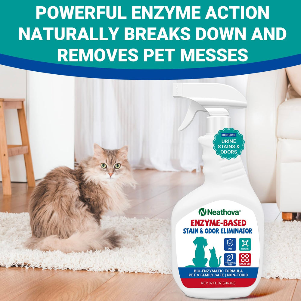 Solution multi-surfaces Neathova idéale pour foyers actifs.