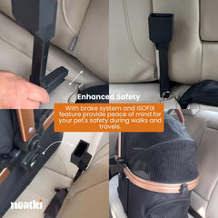 Neatki – ceinture de sécurité pour animaux, sécurité lors des trajets.