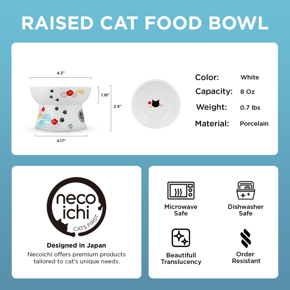 Premier plan du bol chat design ergonomique Necoichi, favorise posture et confort.