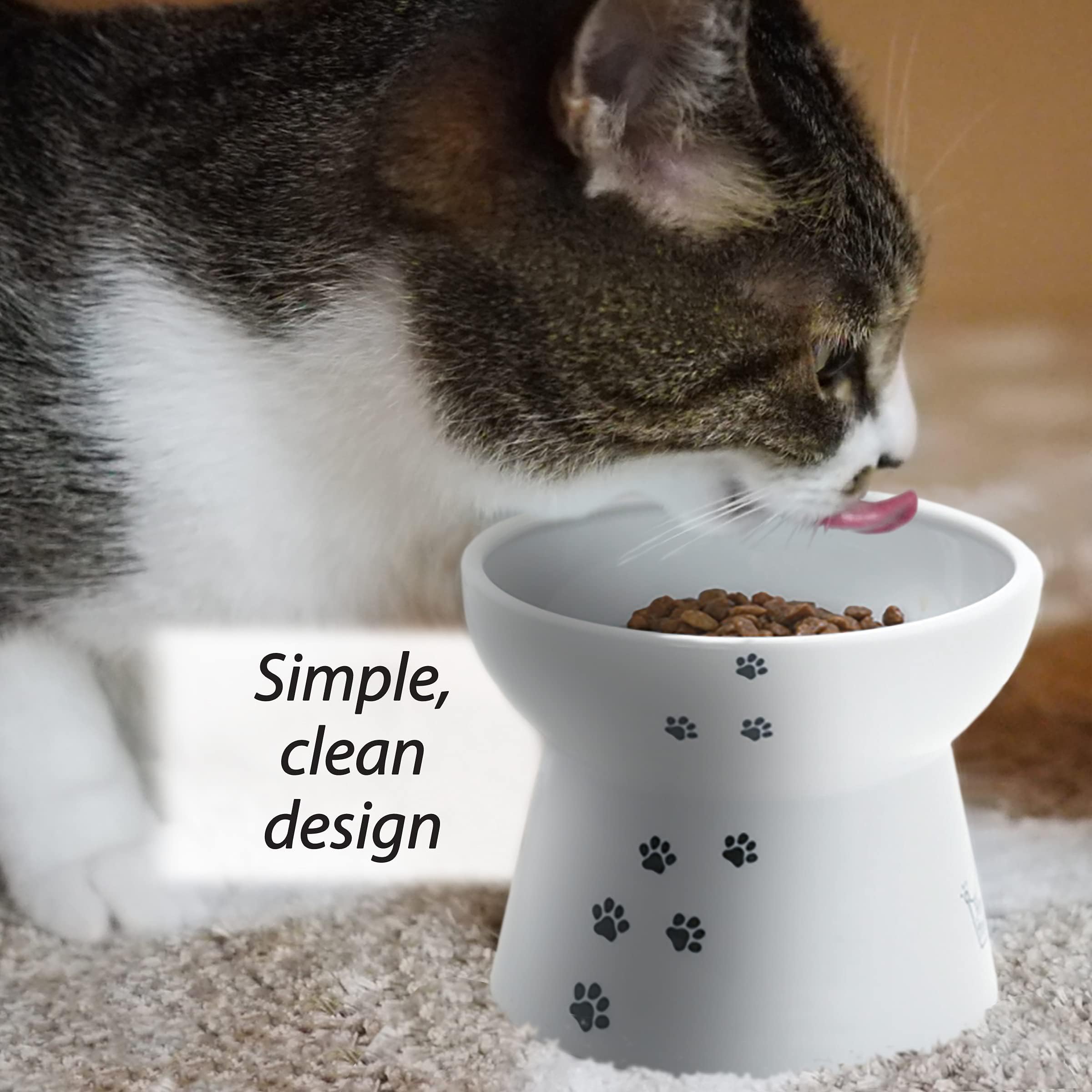 Necoichi bol chat durable – compatible micro-ondes et lave-vaisselle