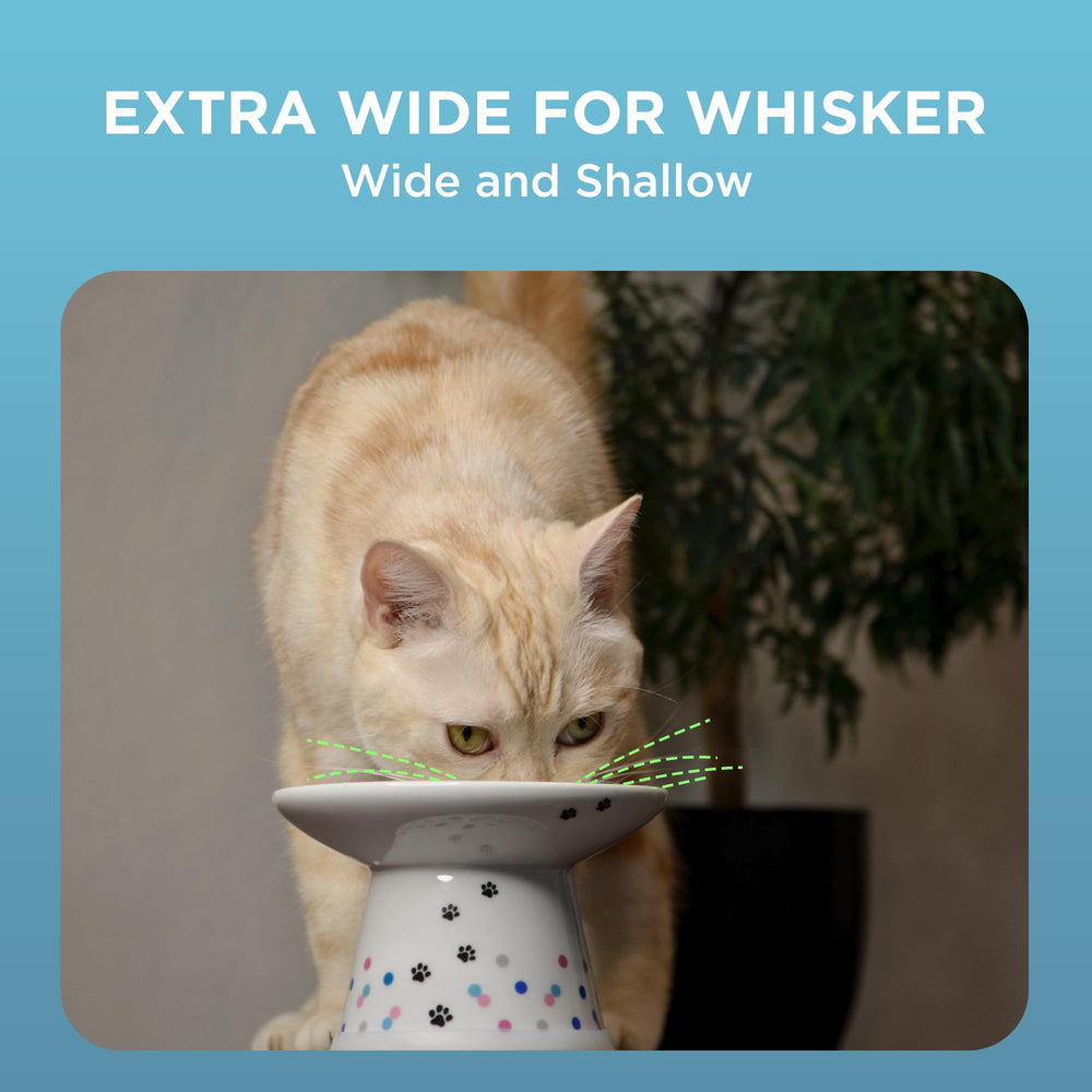 Hauteur ideale pour chats de tailles differentes, confort lors des repas.