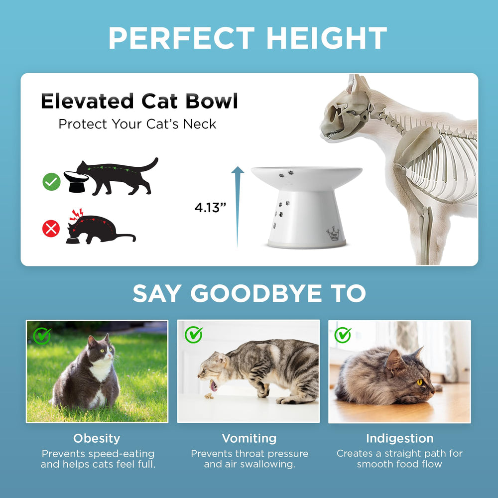 Necoichi bol-chat-ergonomie-hauteur, repas plus confortable pour votre chat.