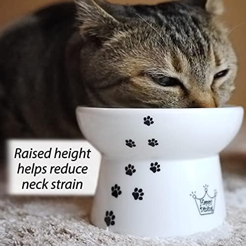 Necoichi bol-chat-haut-anti-vomissement: réduction potentielle de la fatigue des moustaches.