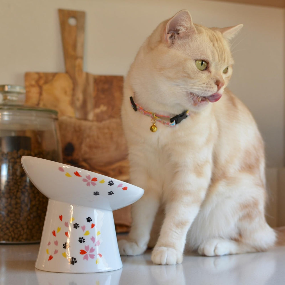 Necoichi porcelaine sans plomb ni cadmium, sécurité alimentaire.
