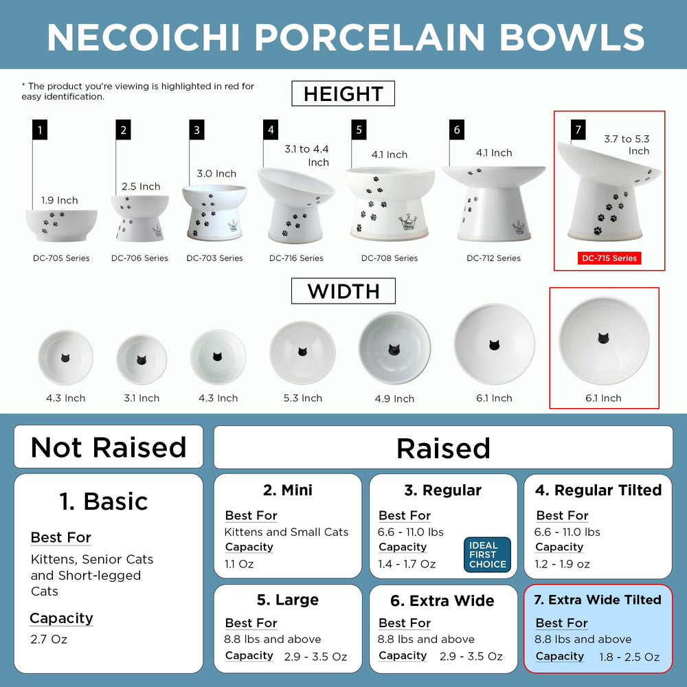 Necoichi bol usage quotidien polyvalent pour repas variés.