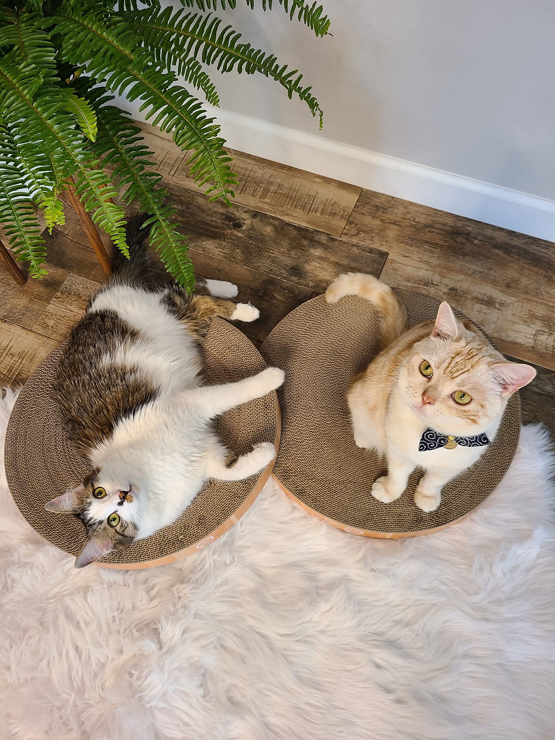 Necoichi bol-grattoir-chat-confort-reversible: double surface pour longevite