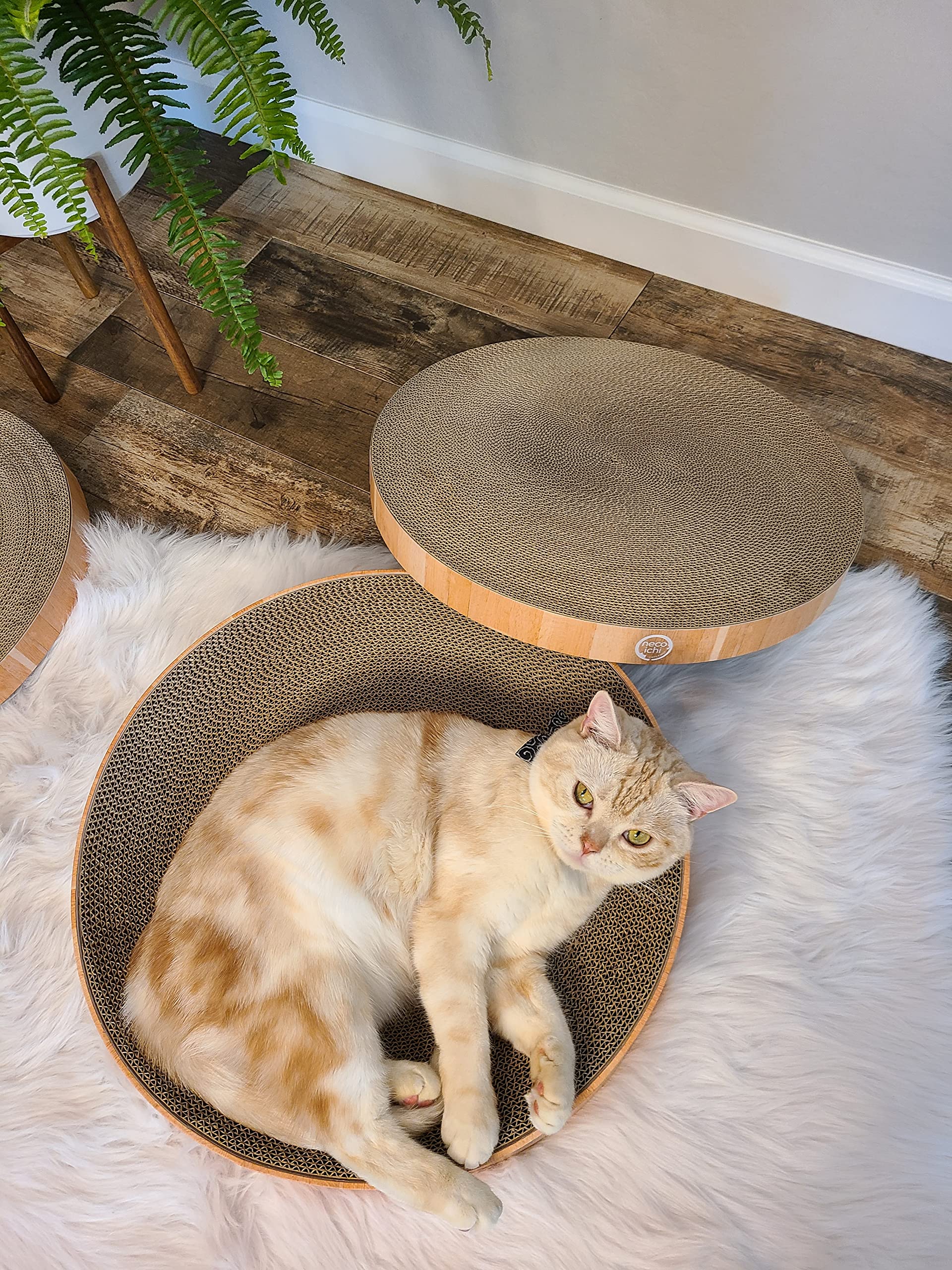 Necoichi-design-chat-tete-silhouette: style moderne pour salon
