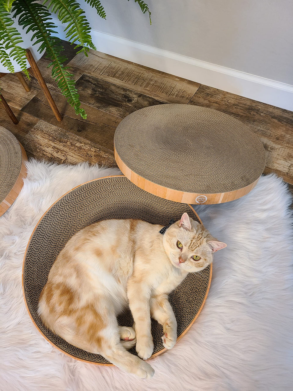 Necoichi-design-chat-tete-silhouette: style moderne pour salon