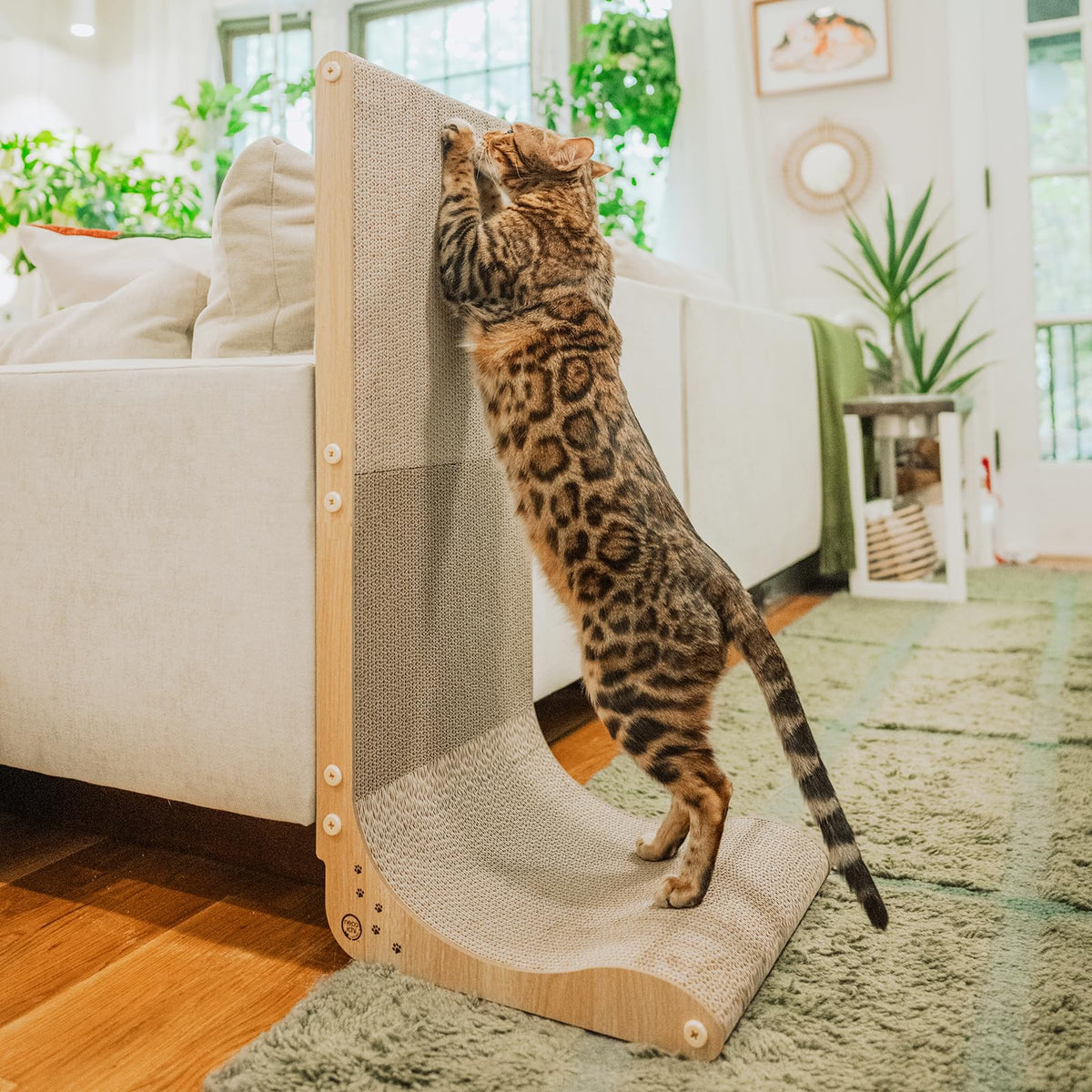 Necoichi grattoir mural en carton pour chats d’intérieur, favorisant un griffage propre sur le mur