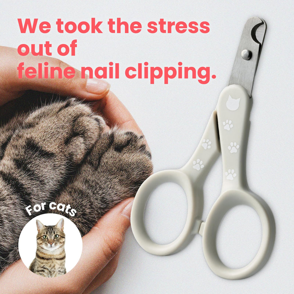 Necoichi Purrcision – levier de précision pour une prise en main facile.