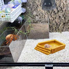 Neeenn accessoire habitat crabe ermite résine – décor sûr et pratique
