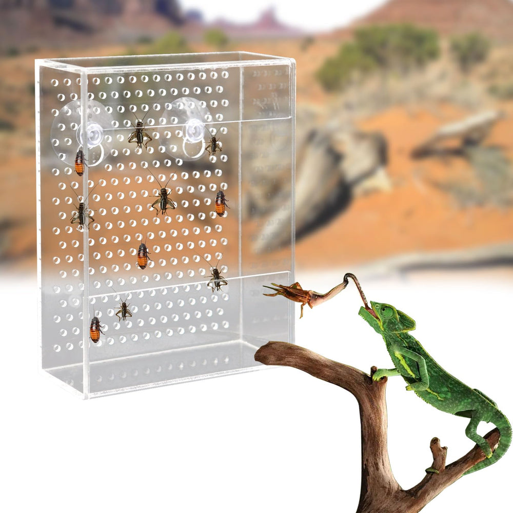 Neeenn alimentateur-reptile-couvercle-securise empêche les évasions