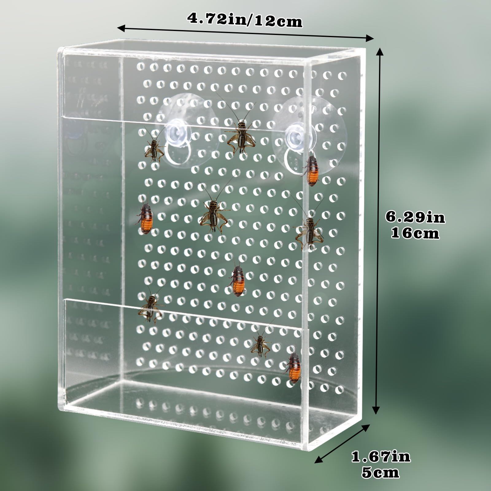 Neeenn alimentateur-reptile-dimensions-compactes s’intègre dans vivarium