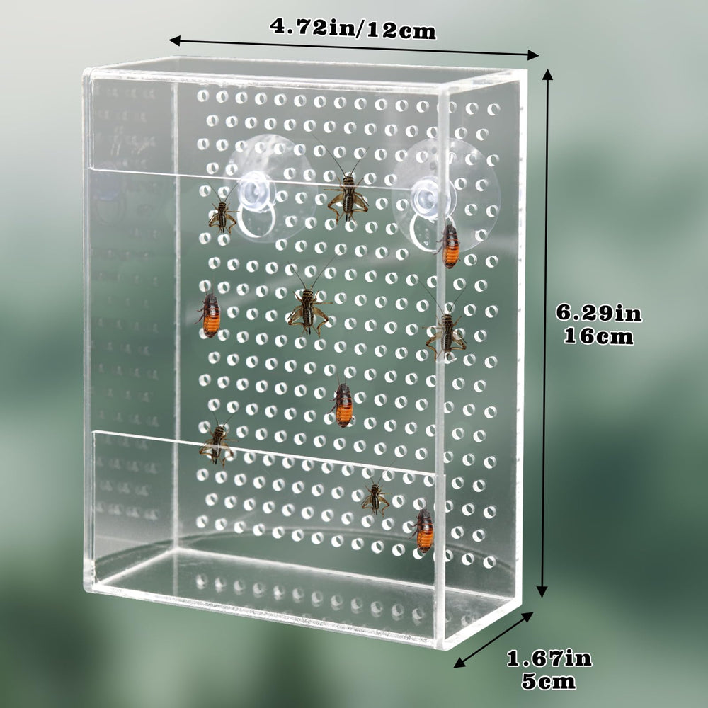 Neeenn alimentateur-reptile-dimensions-compactes s’intègre dans vivarium