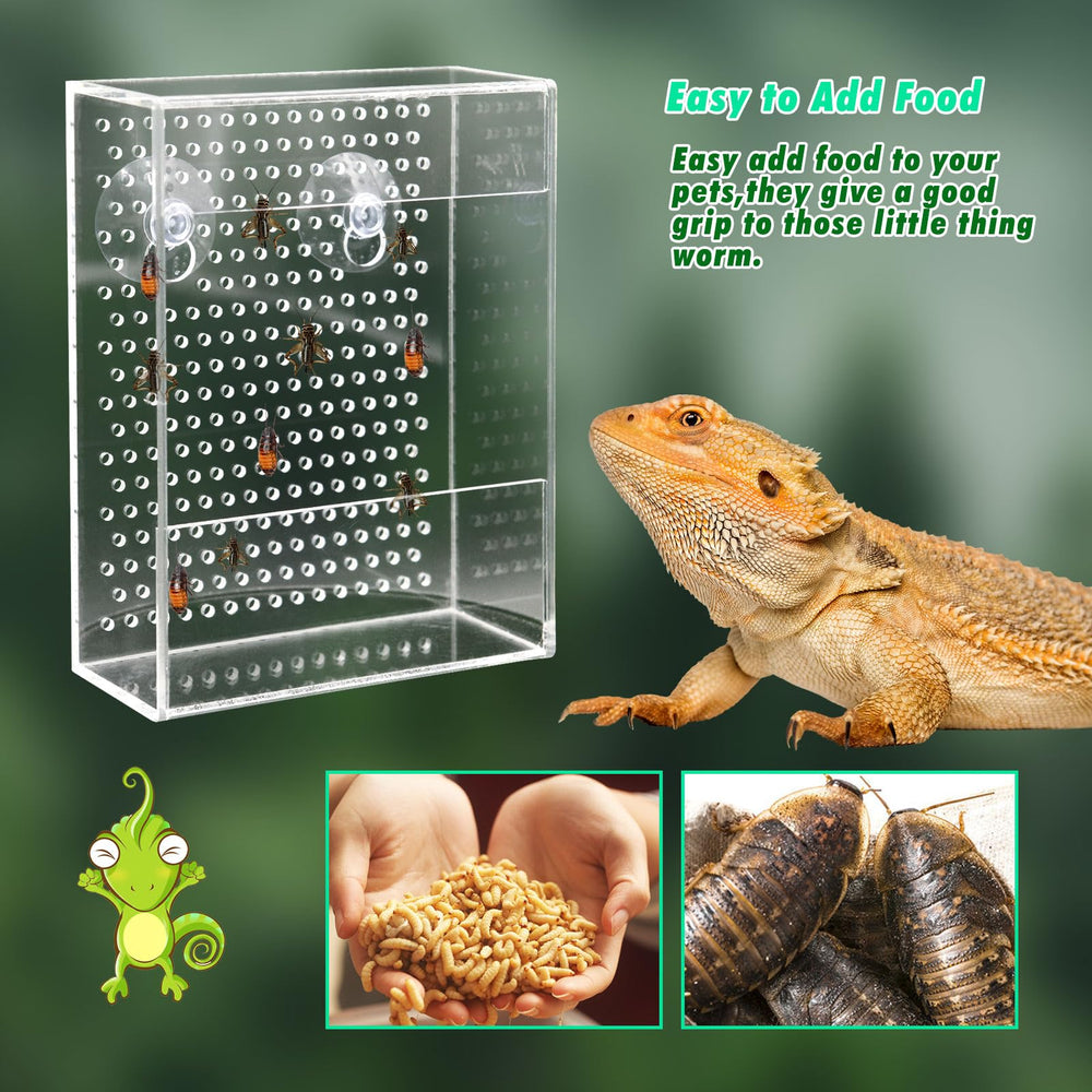 Neeenn alimentateur-reptile-trous-base accès des insectes