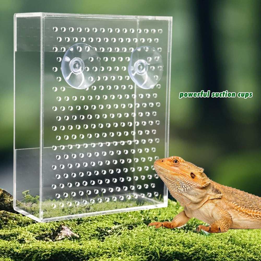 Neeenn alimentateur-reptile-vision-claire suivre les proies