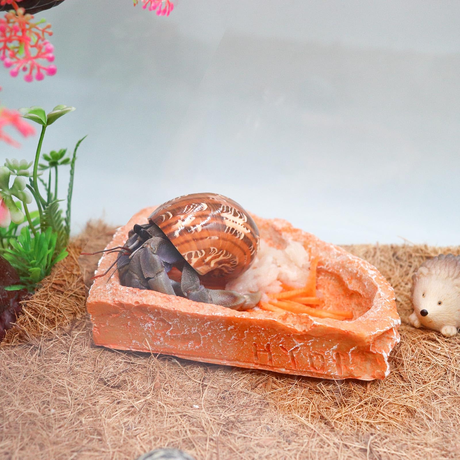 Neeenn bol nourriture reptile résine aspect roches réaliste pour décor naturel