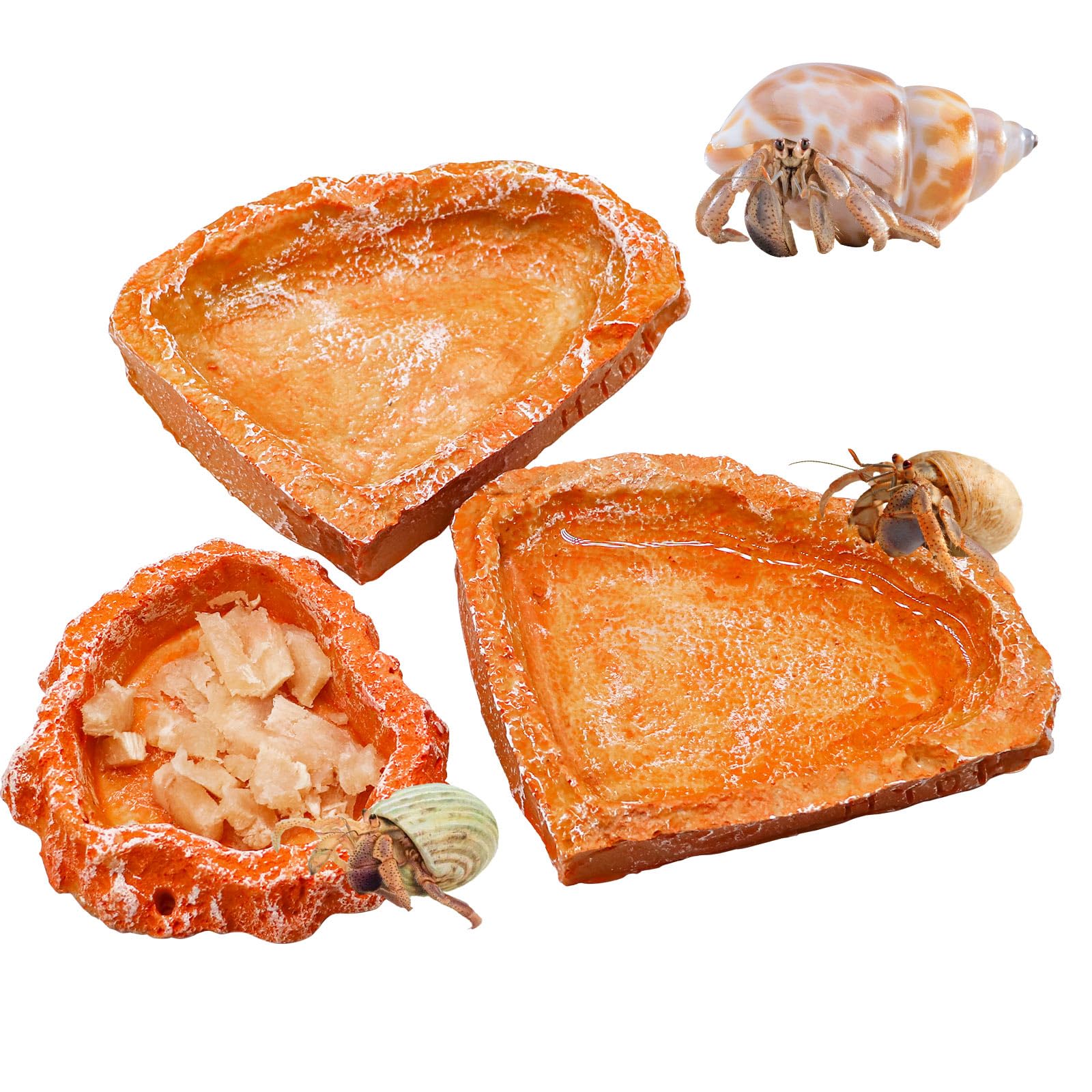 Neeenn ensemble bols nourriture reptile résine trois bols pratique pour repas et hydratation