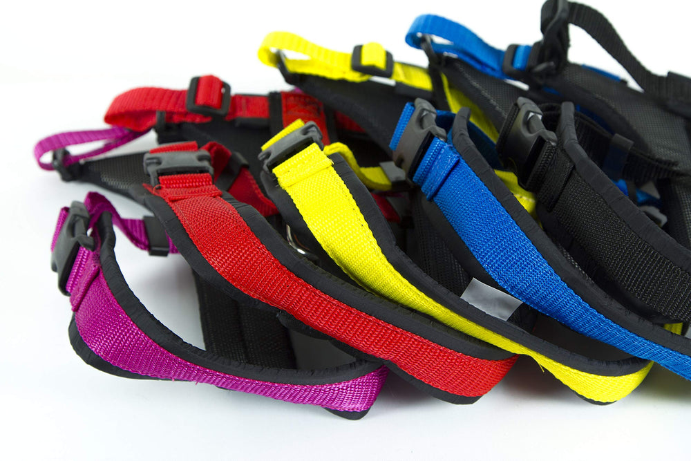 Harnais Neewa noir taille ajustable — convient à la plupart des chiens grâce au réglage.
