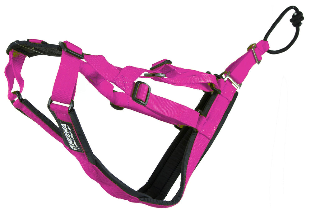 Harnais Neewa Sled Pro rose ajustable, confort pour grands chiens lors de sessions de traîneau.